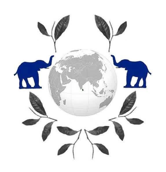 2013 Logo